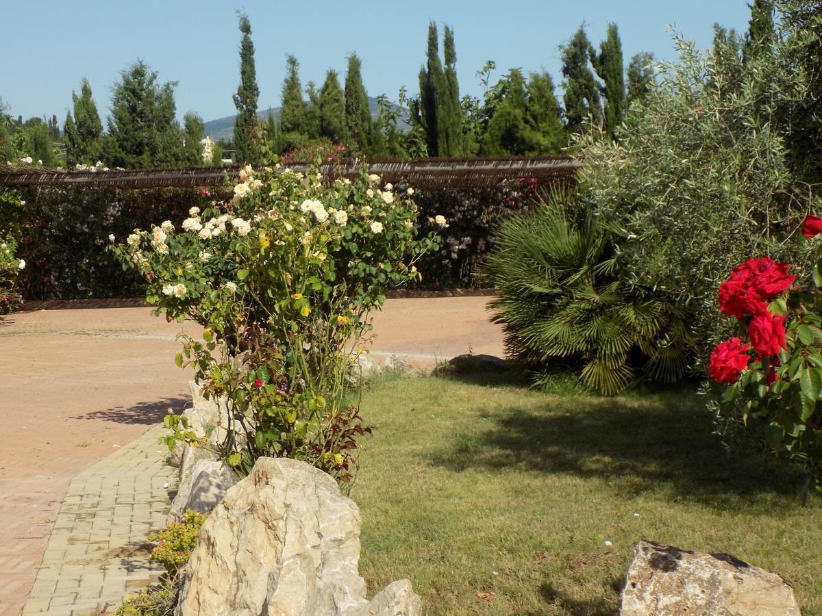 Villa Sorrentina Alghero Exterior photo